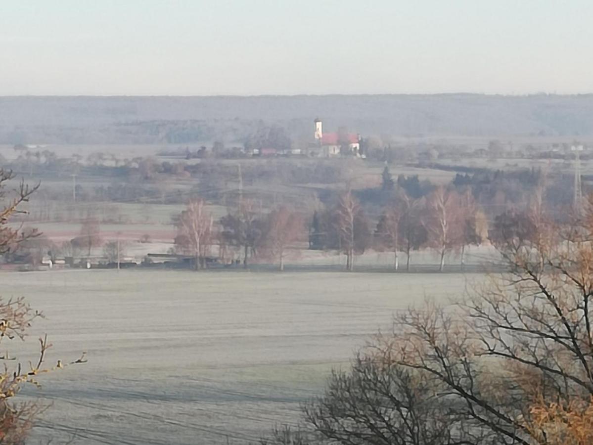 Adler Brasserie Munderkingen Zewnętrze zdjęcie